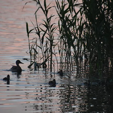 Dom wakacyjny W Piszu Pisz